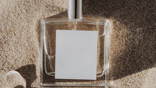 collection cover image 4